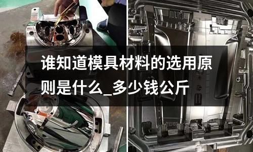 誰知道模具材料的選用原則是什么_多少錢公斤