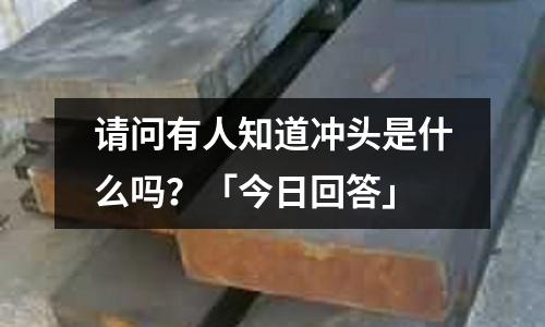 請問有人知道沖頭是什么嗎？「今日回答」