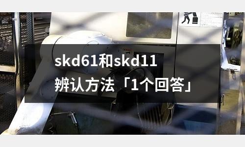 skd61和skd11辨認(rèn)方法「1個(gè)回答」