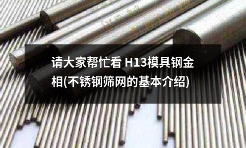 請大家幫忙看 H13模具鋼金相(不銹鋼篩網的基本介紹)