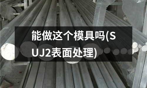 能做這個模具嗎(SUJ2表面處理)