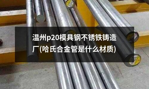 溫州p20模具鋼不銹鐵鑄造廠(哈氏合金管是什么材質)