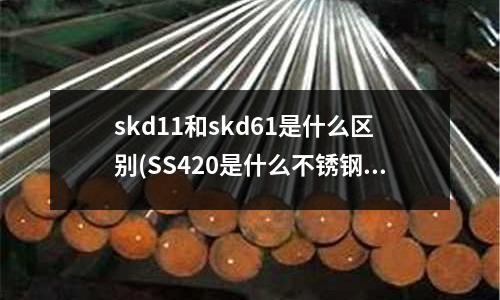 skd11和skd61是什么區別(SS420是什么不銹鋼)