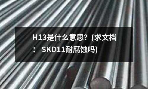 H13是什么意思?(求文檔: SKD11耐腐蝕嗎)