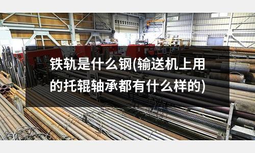 鐵軌是什么鋼(輸送機上用的托輥軸承都有什么樣的)