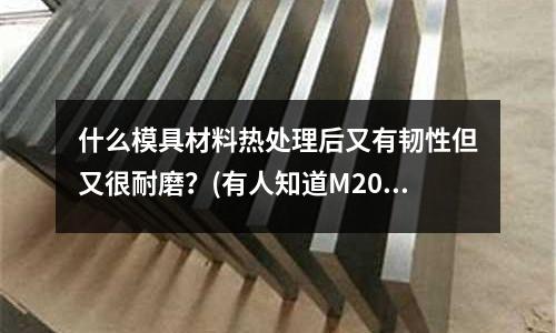 什么模具材料熱處理后又有韌性但又很耐磨？(有人知道M201模具鋼的簡(jiǎn)介嗎？)