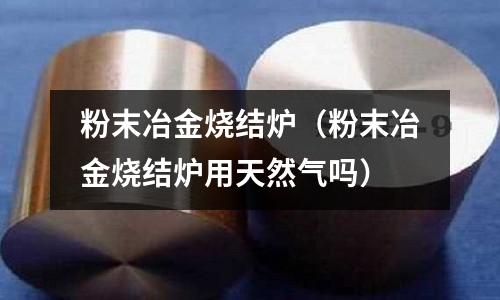 粉末冶金燒結(jié)爐(粉末冶金燒結(jié)爐用天然氣嗎)