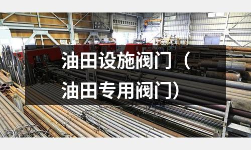 油田設施閥門（油田專用閥門）