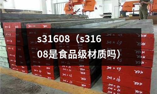 s31608(s31608是食品級材質嗎)