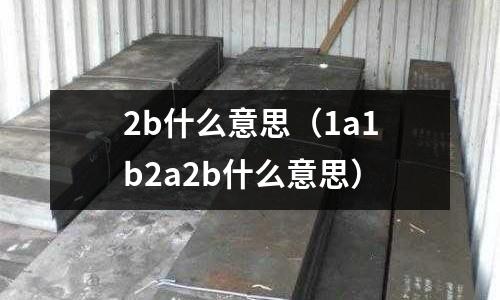 2b什么意思(1a1b2a2b什么意思)
