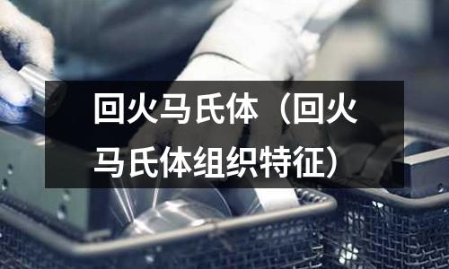 回火馬氏體(回火馬氏體組織特征)