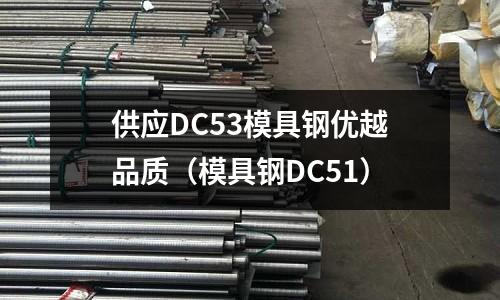 供應DC53模具鋼優(yōu)越品質（模具鋼DC51）