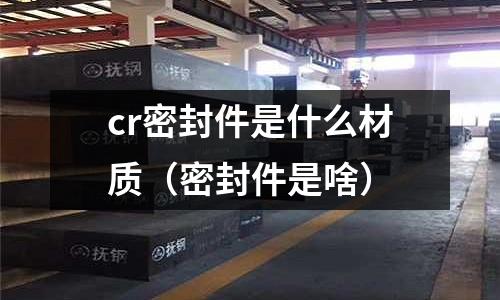 cr密封件是什么材質（密封件是啥）