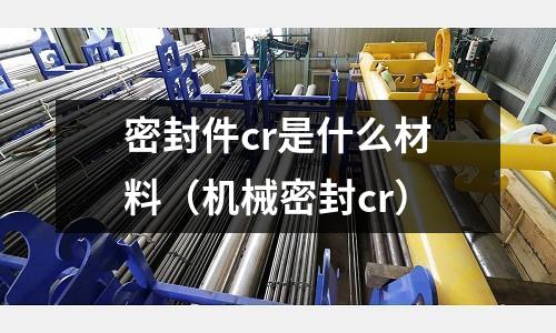 密封件cr是什么材料（機械密封cr）