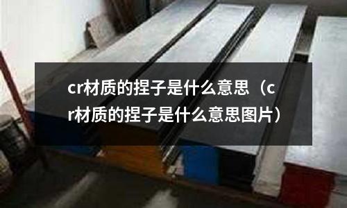 cr材質的捏子是什么意思(cr材質的捏子是什么意思圖片)