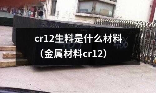 cr12生料是什么材料（金屬材料cr12）