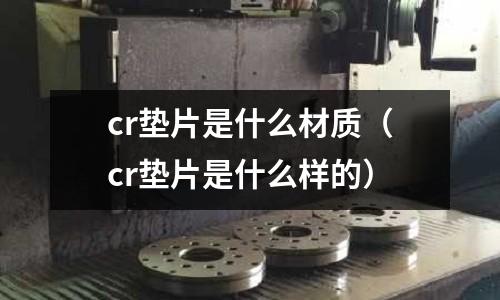 cr墊片是什么材質(cr墊片是什么樣的)