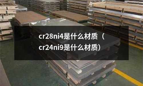 cr28ni4是什么材質（cr24ni9是什么材質）