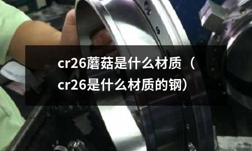 cr26蘑菇是什么材質（cr26是什么材質的鋼）