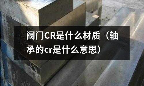 閥門CR是什么材質(軸承的cr是什么意思)