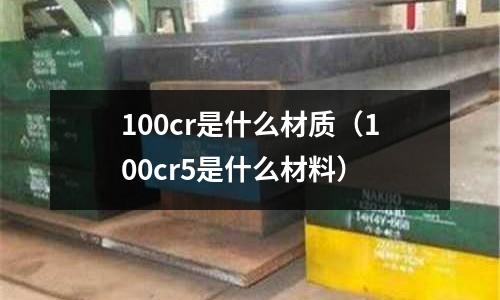 100cr是什么材質(100cr5是什么材料)