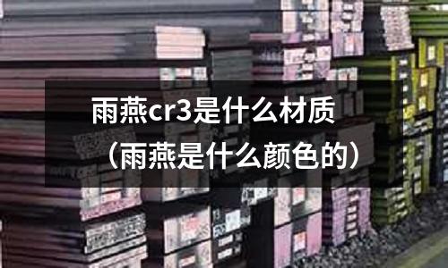 雨燕cr3是什么材質(zhì)（雨燕是什么顏色的）