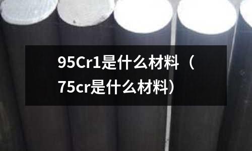 95Cr1是什么材料(75cr是什么材料)