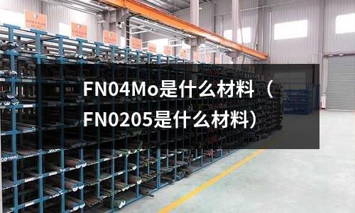 FN04Mo是什么材料(FN0205是什么材料)
