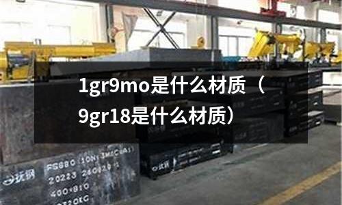 1gr9mo是什么材質(zhì)(9gr18是什么材質(zhì))