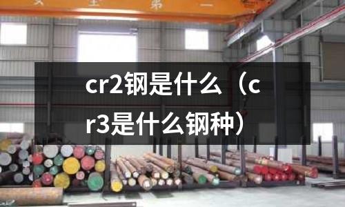 cr2鋼是什么（cr3是什么鋼種）
