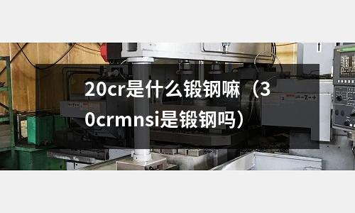 20cr是什么鍛鋼嘛(30crmnsi是鍛鋼嗎)