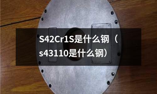 S42Cr1S是什么鋼(s43110是什么鋼)