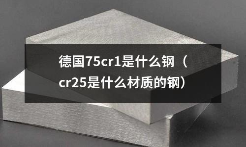 德國75cr1是什么鋼（cr25是什么材質的鋼）