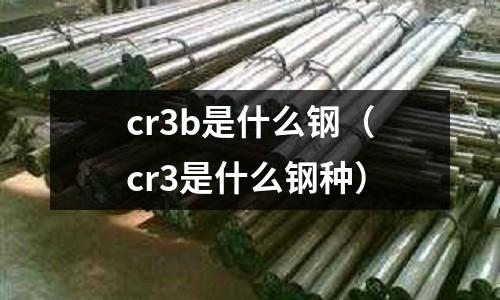 cr3b是什么鋼（cr3是什么鋼種）