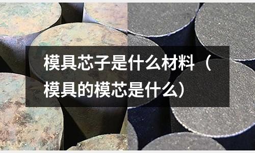 模具芯子是什么材料（模具的模芯是什么）