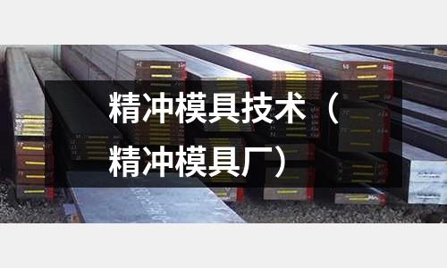 精沖模具技術(shù)（精沖模具廠）