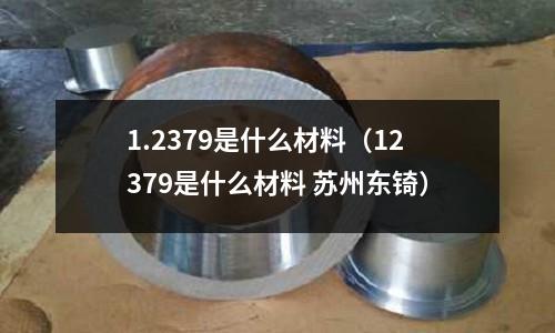 1.2379是什么材料（12379是什么材料 蘇州東锜）