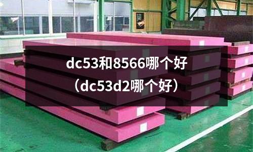 dc53和8566哪個好(dc53d2哪個好)