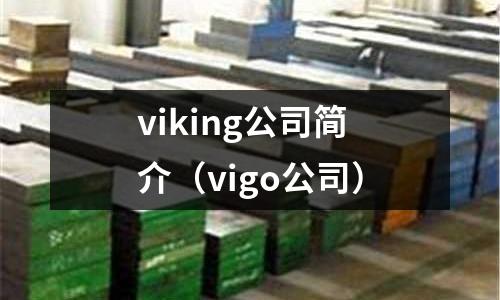 viking公司簡介(vigo公司)
