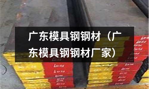 廣東模具鋼鋼材(廣東模具鋼鋼材廠家)