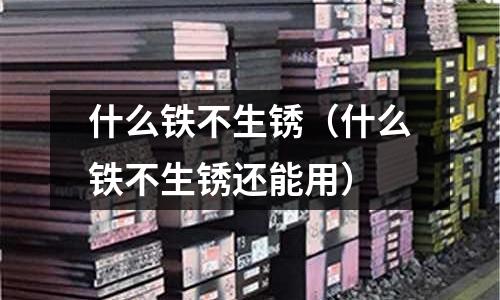 什么鐵不生銹（什么鐵不生銹還能用）