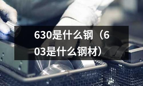 630是什么鋼(603是什么鋼材)