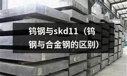 鎢鋼與skd11（鎢鋼與合金鋼的區(qū)別）