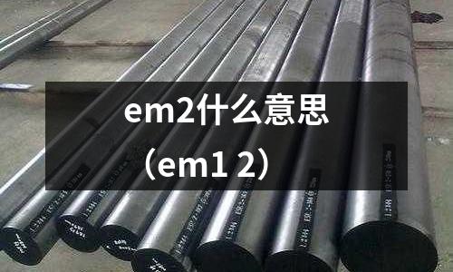em2什么意思(em1 2)