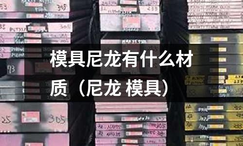 模具尼龍有什么材質（尼龍 模具）