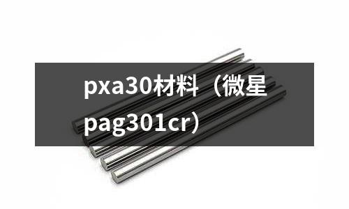 pxa30材料（微星pag301cr）