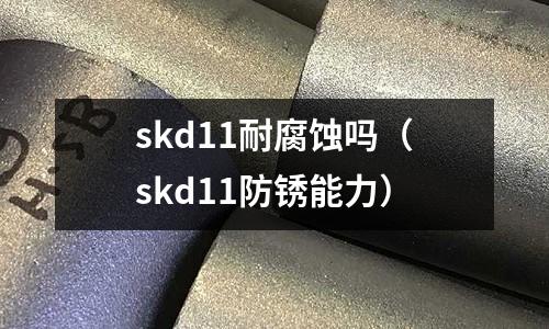 skd11耐腐蝕嗎(skd11防銹能力)