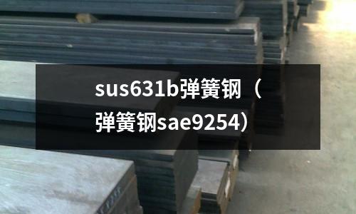 sus631b彈簧鋼(彈簧鋼sae9254)
