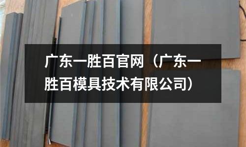 廣東一勝百官網（廣東一勝百模具技術有限公司）
