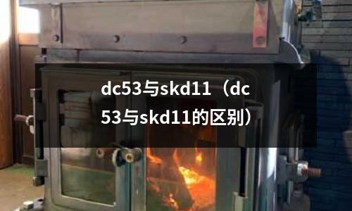 dc53與skd11(dc53與skd11的區別)